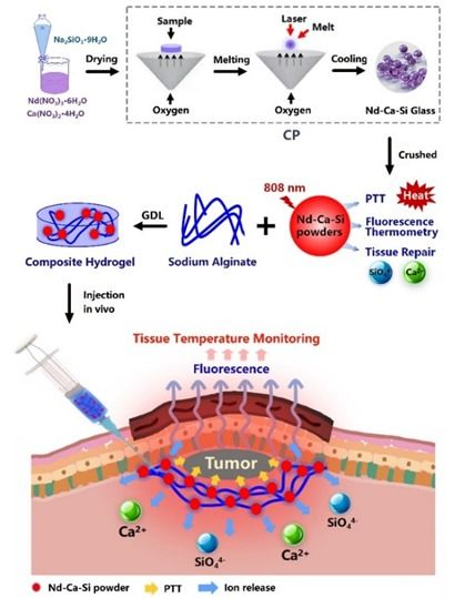 融合創新 面向腫瘤治療與組織再生一體化的生物活性玻璃合成技術研發