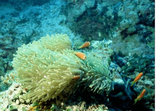 觀方好物 華山醫院研制的身體乳，何以成為值得“囤一輩子”的護膚好物？